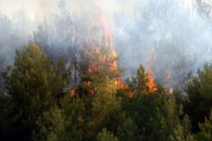 Πυρκαγιές: Οργανωμένο σχέδιο εμπρηστών «βλέπει» η Πυροσβεστική - Συλλήψεις σε Ρόδο, Κεφαλονιά και Ιωάννινα