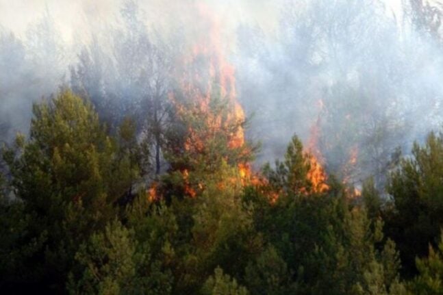 κίνημα της πετσέτας