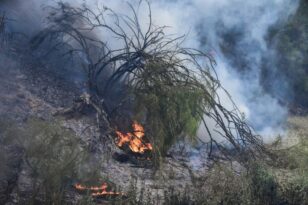 Πυρκαγιές: Μάχη με τις αναζωπυρώσεις στον Έβρο, νέο μήνυμα 112 για Κοτρωνιά - Διάσπαρτες εστίες στην Πάρνηθα - Συνολικά 87 πυρκαγιές στην επικράτεια