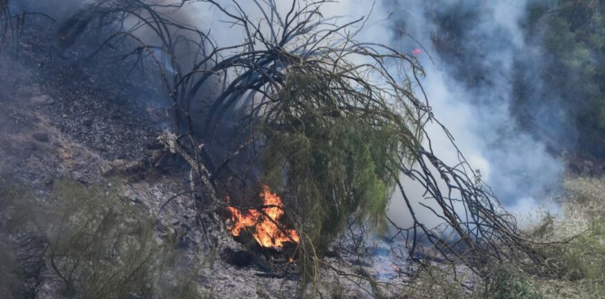 Μεσσηνία: Υπό μερικό έλεγχο πυρκαγιά σε αγροτοδασική έκταση στον Άγιο Ισίδωρο
