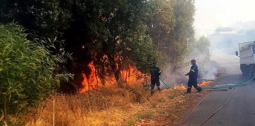 εισφορές,ασφαλιστικές