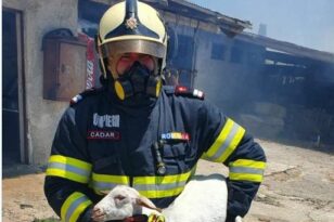 Ρουμάνοι πυροσβέστες: «Η φετινή χρονιά για τις πυρκαγιές ήταν η πιο δύσκολη»