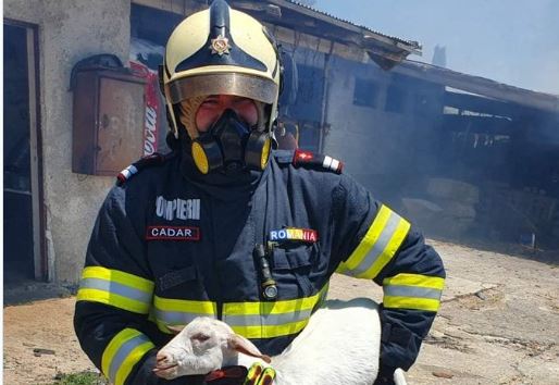 Ρουμάνοι πυροσβέστες: «Η φετινή χρονιά για τις πυρκαγιές ήταν η πιο δύσκολη»