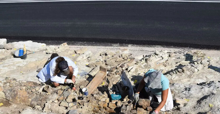 Μυτιλήνη: Άνοιξε για το κοινό το νέο υπαίθριο πάρκο απολιθωμάτων