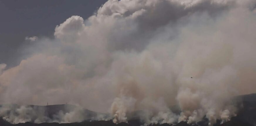 Ισπανία: Η φωτιά στην Τενερίφη «σταθεροποιήθηκε» μετά από 9 ημέρες – Κάηκε σχεδόν το 7% της έκτασης