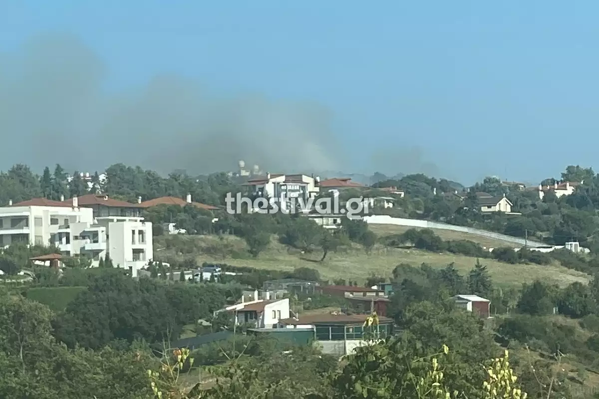 Φωτιά στο Φίλυρο Θεσσαλονίκης 