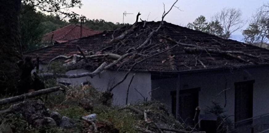 Τρίκαλα: Έπεσε πλάτανος λόγω ισχυρών ανέμων και καταπλάκωσε σπίτι