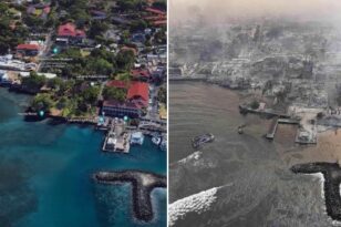 Χαβάη: Πιθανότατα από βλάβες στις γραμμές ηλεκτροδότησης προκλήθηκαν οι φονικές πυρκαγιές - ΒΙΝΤΕΟ