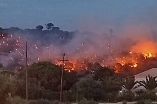Φωτιά στη Ζάκυνθο: Κάηκαν αιωνόβιες ελιές - Καταγγέλλουν εμπρησμό