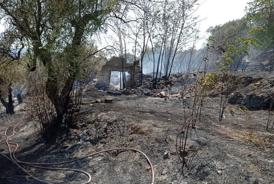 Έρευνα - Πυρκαγιές Ανατολική Αιγιάλεια: Υπόγειο καταφύγιο στη Ζήρια, με τους πυρόπληκτους «ακάλυπτους» - ΦΩΤΟ