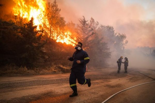 Φωτιά τώρα σε δασική έκταση στη Φθιώτιδα