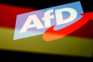 Γερμανία: Πτώση στα ποσοστά της AfD μετά τις συναντήσεις με νεοναζί