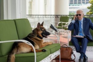 ΗΠΑ: Προς έξωση από τον Λευκό Οίκο ο σκύλος των Μπάιντεν – Έχει δαγκώσει 11 πράκτορες – ΒΙΝΤΕΟ