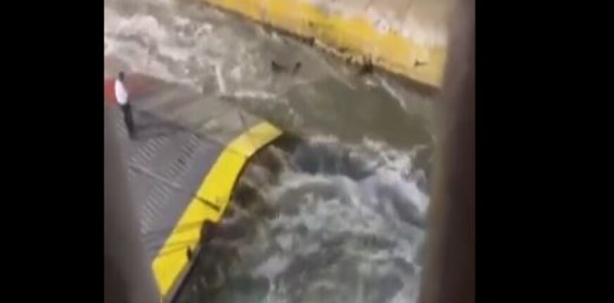 Πειραιάς: Συγκλονιστική μαρτυρία για το θάνατο του 36χρονου - Πλήρωμα τον πέταξε από πλοίο - ΒΙΝΤΕΟ ΝΤΟΚΟΥΜΕΝΤΟ