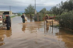 Αχαΐα: Υπό απειλή θερμοκήπια και χωράφια λόγω βροχής και ποταμών - Τρέμουν οι αγρότες