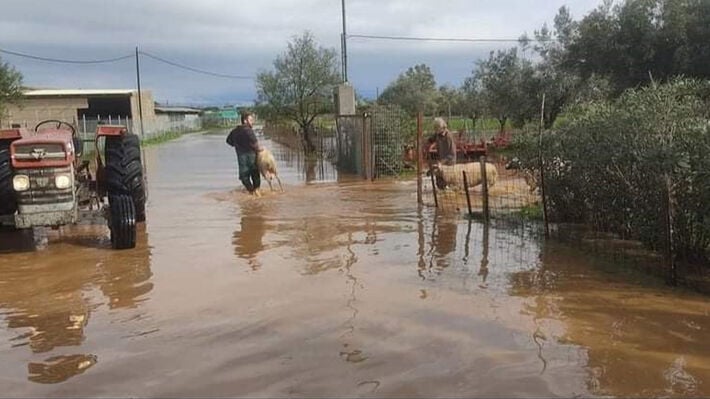 Αχαΐα: Υπό απειλή θερμοκήπια και χωράφια λόγω βροχής και ποταμών - Τρέμουν οι αγρότες