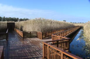 Πάτρα: Προχωρά το ανοικτό θέατρο 653 θέσεων και το πάρκινγκ στο πρώην κάμπινγκ στο Έλος της Αγυιάς