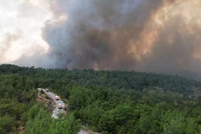 Φωτιά στον Έβρο: Μαίνεται η μάχη με τις φλόγες για 15η ημέρα - Επιχειρούν και πάλι τα εναέρια μέσα