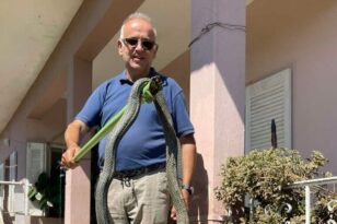 Κακοκαιρία Daniel - Καρδίτσα: Φίδι 2,5 μέτρων βγήκε μέσα από τα νερά στον Παλαμά - ΦΩΤΟ