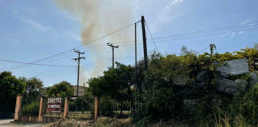 Υπό έλεγχο η φωτιά στο Αγρίνιο – 22 δασικές πυρκαγιές εκδηλώθηκαν το τελευταίο 24ωρο