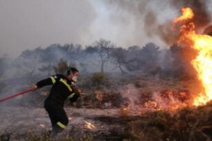 Φωτιά στην Αιγιάλεια -Επιχειρούν 3 οχήματα και 6 πυροσβέστες