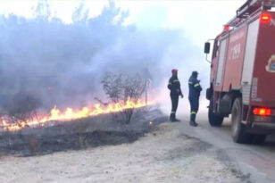 Φωτιά στον Έβρο: Χωρίς ενεργά μέτωπα - Επέστρεψαν στα σπίτια τους οι κάτοικοι της Λευκίμμης