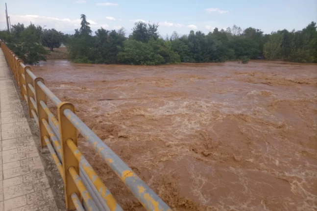 Καρδίτσα