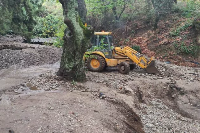 κτηνοτροφία