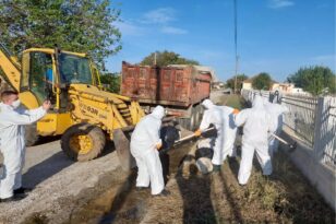 Θεσσαλία: Σε εξέλιξη οι επιχειρήσεις αποκομιδής των νεκρών ζώων - Ειδικές στολές και αυστηρά υγειονομικά πρωτόκολλα ΦΩΤΟ