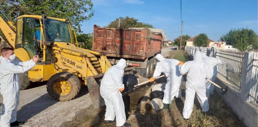 Θεσσαλία: Σε εξέλιξη οι επιχειρήσεις αποκομιδής των νεκρών ζώων - Ειδικές στολές και αυστηρά υγειονομικά πρωτόκολλα ΦΩΤΟ