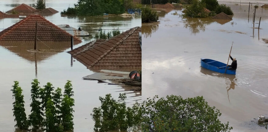 Καρδίτσα