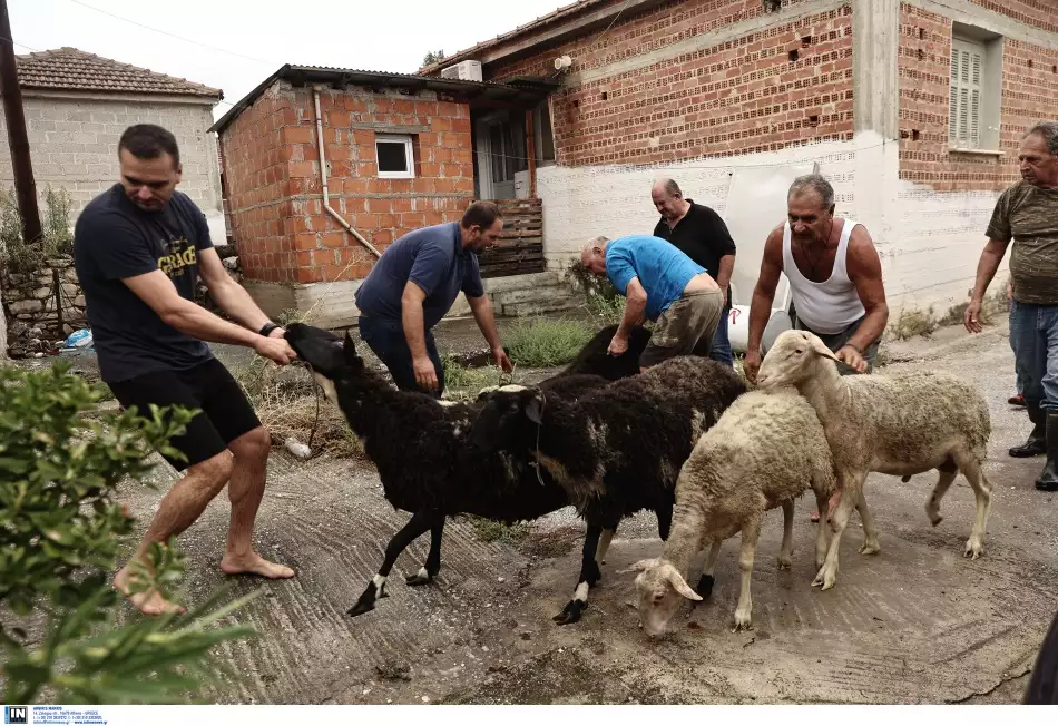 Κακοκαιρία – Θεσσαλία: Συγκλονιστικές εικόνες από τις διασώσεις - Δραματική η κατάσταση με τις πλημμύρες