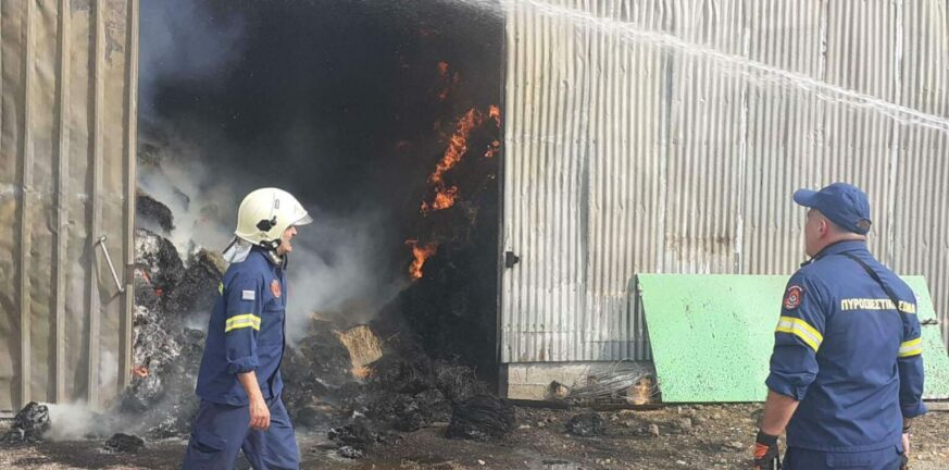 Αιτωλοακαρνανία: Στις φλόγες παραδόθηκε στάβλος στον Κουβαρά - Κάηκαν ζώα ΦΩΤΟ
