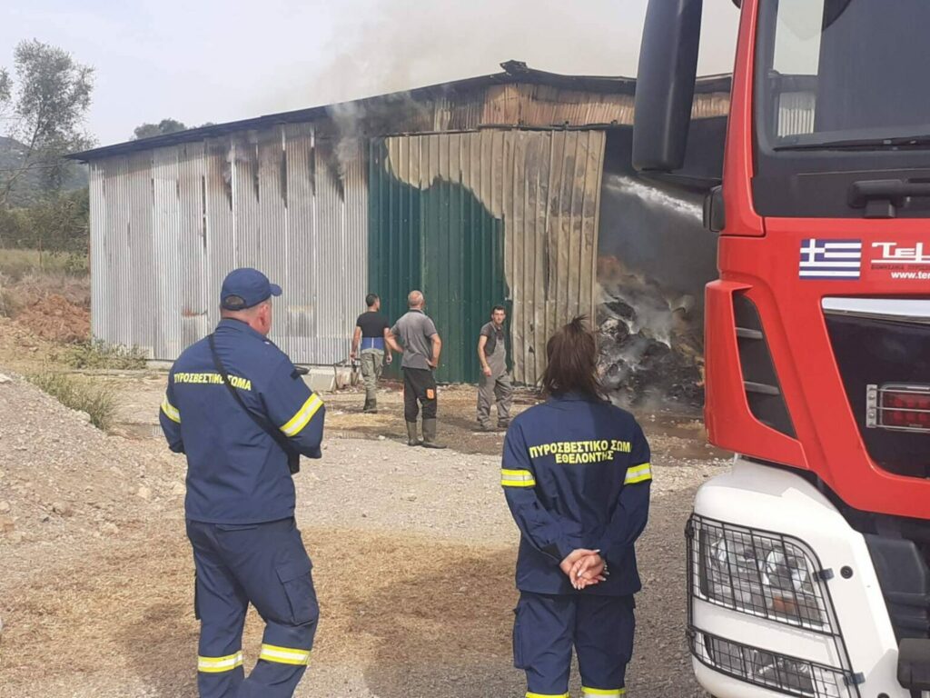 Αιτωλοακαρνανία: Στις φλόγες παραδόθηκε στάβλος στον Κουβαρά - Κάηκαν ζώα ΦΩΤΟ