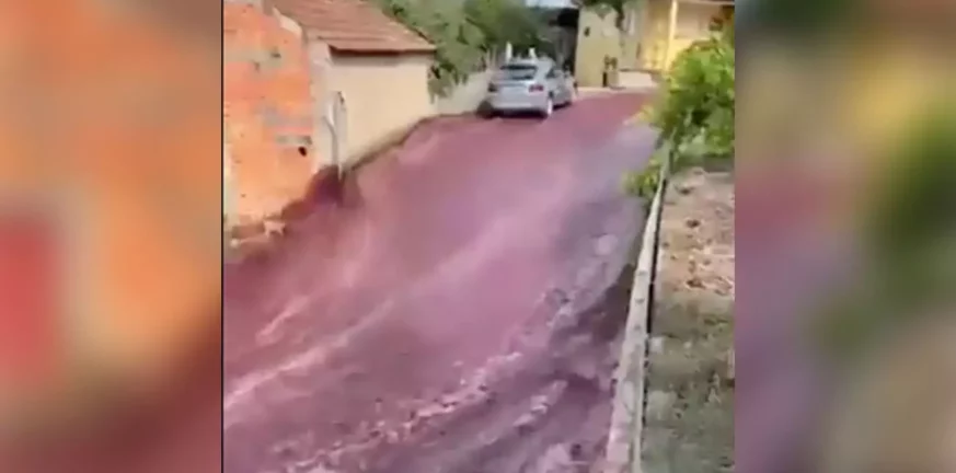 Πορτογαλία: Πλημμύρες άλλου τύπου με 2,2 εκατομμύρια λίτρα κρασί! - Συγκλονιστικό BINTEO