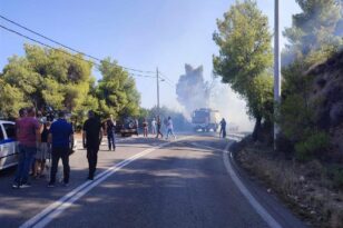 Φωτιά στο Μαρκόπουλο Ωρωπού: Υπό μερικό έλεγχο η πυρκαγιά - Αποκαταστάθηκε η κυκλοφορία των οχημάτων