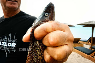 Ναύπλιο: Επικίνδυνη ψαριά για ερασιτέχνη αλιέα - Δείτε τι έπιασε ΦΩΤΟ