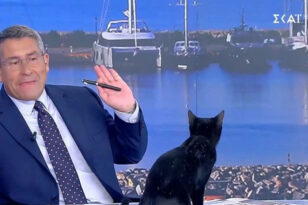 Φίλης: «Όλες οι γάτες οι άσπρες και μαύρες είναι καλές» - Μαύρη γάτα στο πλατό του Σκάι