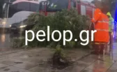 Πάτρα: Καιρικά προβλήματα με διακοπές ρεύματος και πτώσεις δένδρων