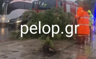 Πάτρα: Καιρικά προβλήματα με διακοπές ρεύματος και πτώσεις δένδρων