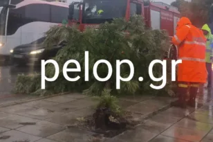 Πάτρα: Καιρικά προβλήματα με διακοπές ρεύματος και πτώσεις δένδρων