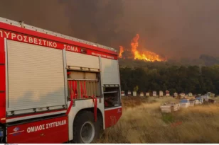Φωτιά τώρα στην Άνδρο - Επιχειρούν δυνάμεις της Πυροσβεστικής