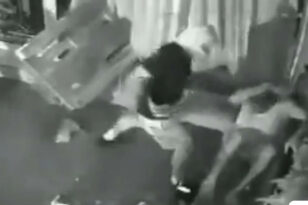 Λεμεσός: Βίντεο που σοκάρει με επίθεση σε άστεγο που κοιμόταν έξω από μαγαζί
