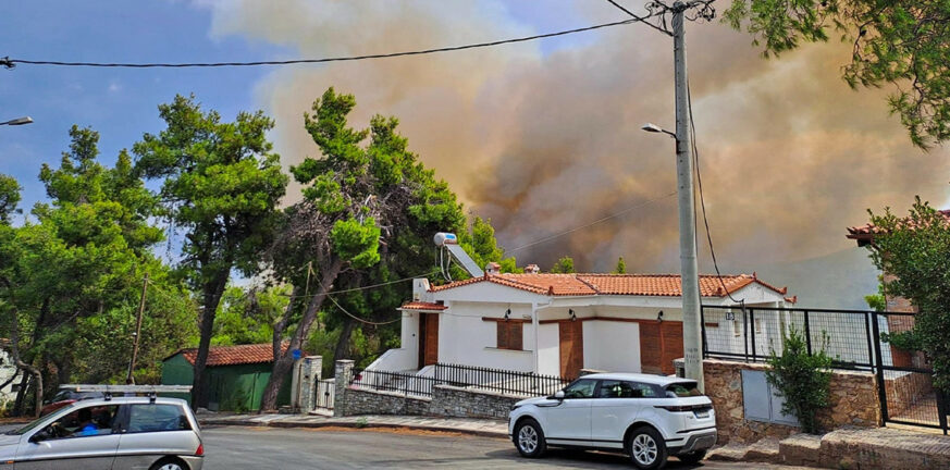 Φωτιά στη Σταμάτα: Υπό έλεγχο η πυρκαγιά - Σε επιφυλακή η Πυροσβεστική - Μία προσαγωγή υπόπτου για εμπρησμό ΦΩΤΟ ΒΙΝΤΕΟ