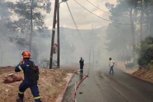 Αρτοποιός για φωτιά στη Σταμάτα: Καλύτερη η εικόνα, αλλά δεν εφησυχάζουμε