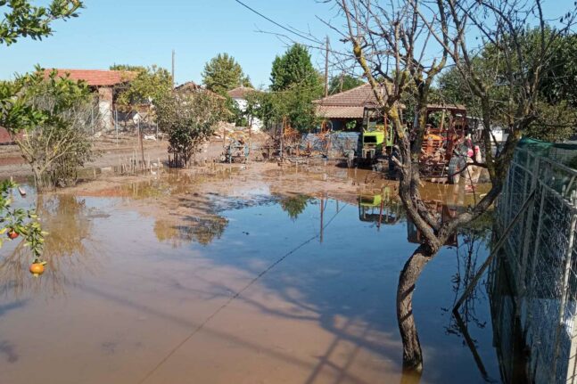 Θεσσαλία: Σήμα κινδύνου για τους πλημμυροπαθείς - Σοβαρός κίνδυνος λεπτοσπείρωσης