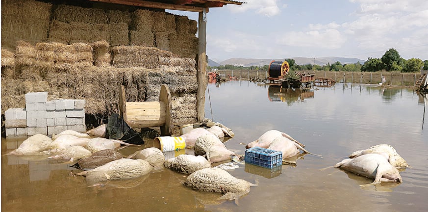 Θεσσαλία: Νέες πληρωμές πρώτης αρωγής προς τους πληγέντες από τις πλημμύρες