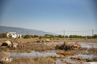 Θεσσαλία: Δύσκολος ο αγώνας για την περισυλλογή των νεκρών ζώων - «Υπάρχουν ακόμη περιοχές μη προσβάσιμες»