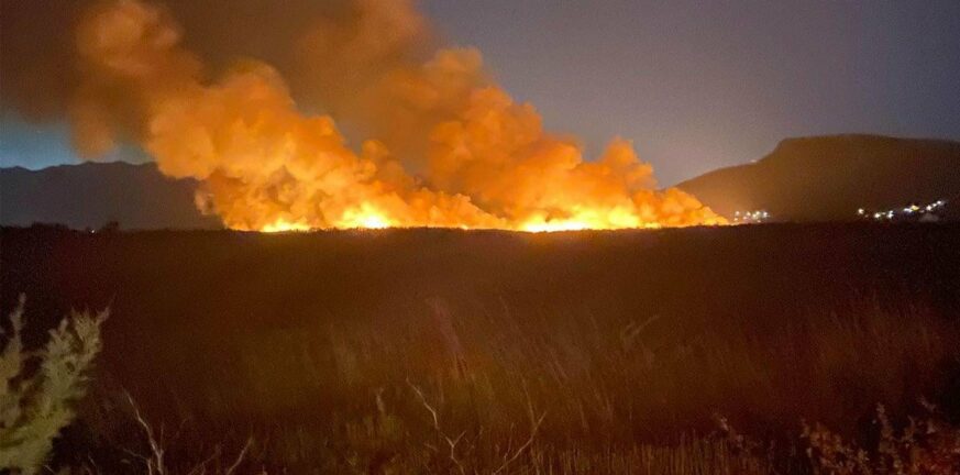 Φωτιά στον Μαραθώνα: Καίει κοντά σε δασική έκταση, ισχυροί άνεμοι στην περιοχή - Δύσκολη η αποψινή νύχτα 