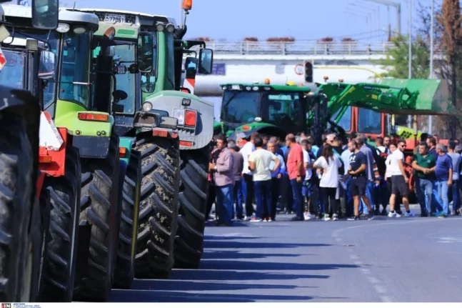 Αυτοδιοικητικές